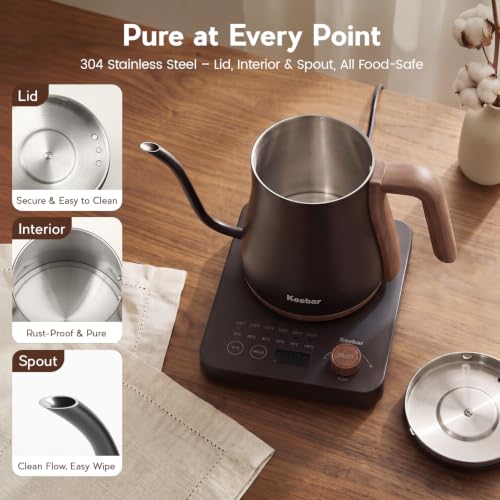Gooseneck Electric Kettle