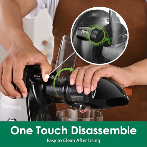 Slow Masticating Juicer
