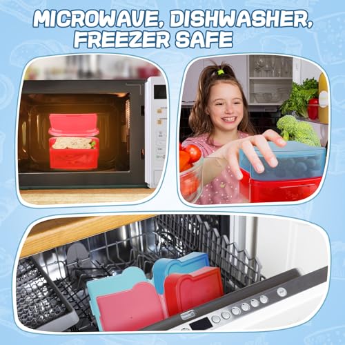 20 Oz Sandwich Containers for Kids (2 Count)