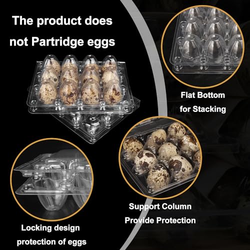 220 Pack Quail Egg Cartons (220 Count)
