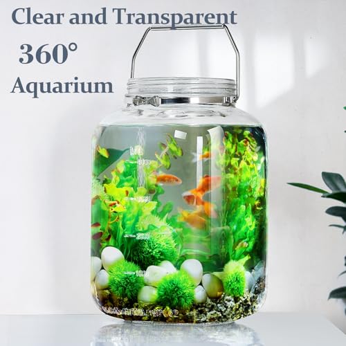 1.5 Gallon 5700 ML Glass Jar with Lid (2 Count)