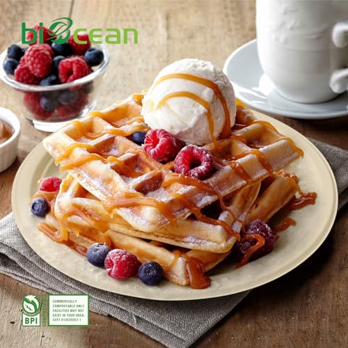 6 Inch Compostable Plates 100 Pack Heavy Duty Compostable Paper Plate (100 Count)
