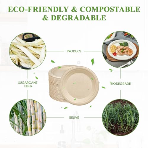 125 Pack Compostable Bagasse Paper Plates 6 inch (125 Count)