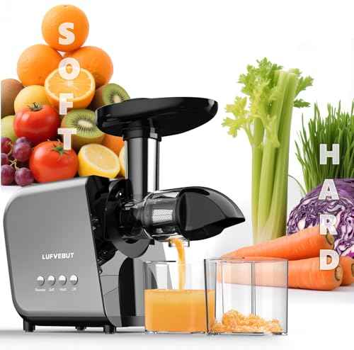 Slow Juicer with Reverse Function