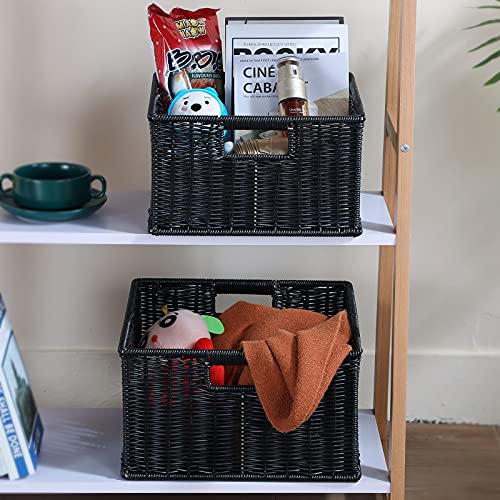 Wicker Storage Baskets for Organizing (2 Count)