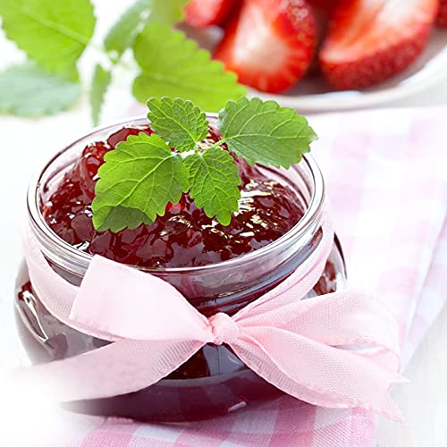 24 Pack 4 oz Glass Mason Jars (24 Count)