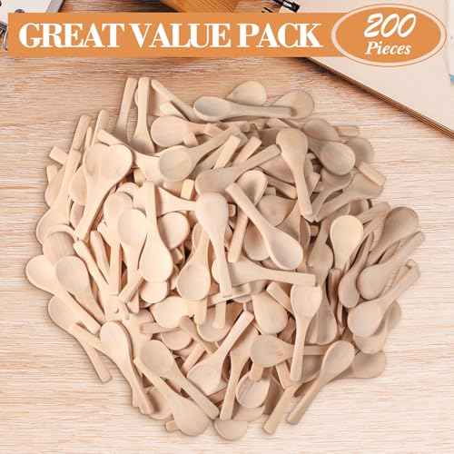 200 Pcs Small Wooden Spoons (200 Count)