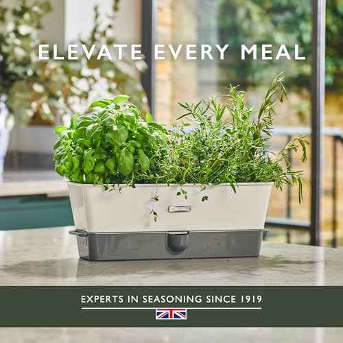 Burwell Self Watering Potted Herb Keeper