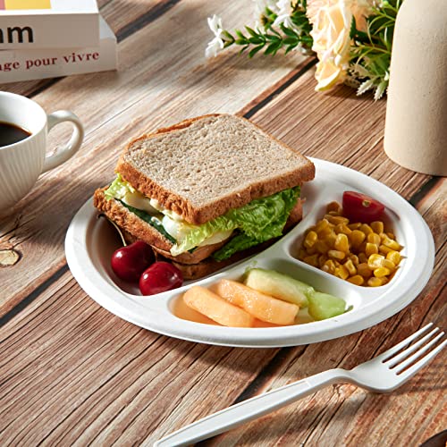 Compostable Paper Plates (150 Count)