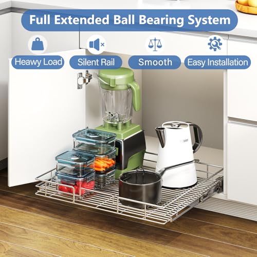 Pull Out Cabinet Organizer