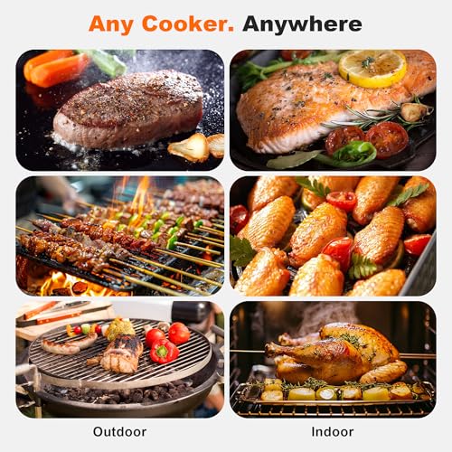 Dual Probes Meat Thermometer