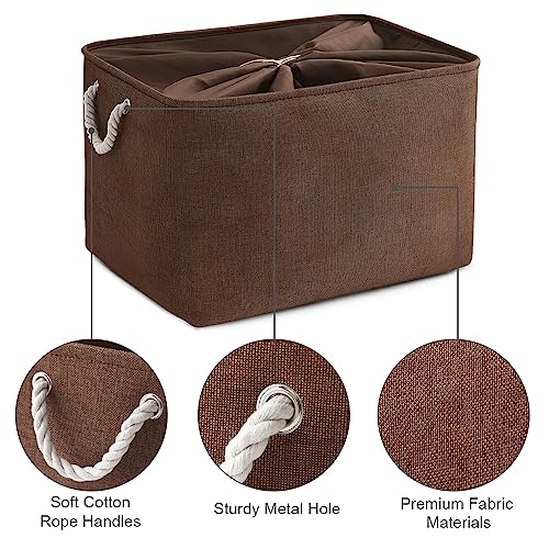 Organization and Storage for Organizing (3 Count)