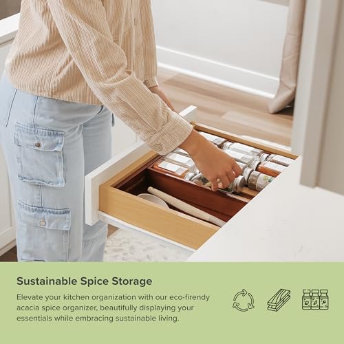 Expandable Spice Drawer Organizer