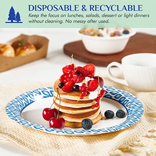 8.375 Inch Disposable Paper Plates (300 Count)