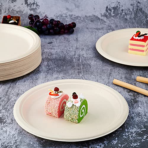 150 Pack Compostable Disposable Paper Plates 10 inch Super Strong 100% Bagasse Natural Biodegradable Eco (150 Count)