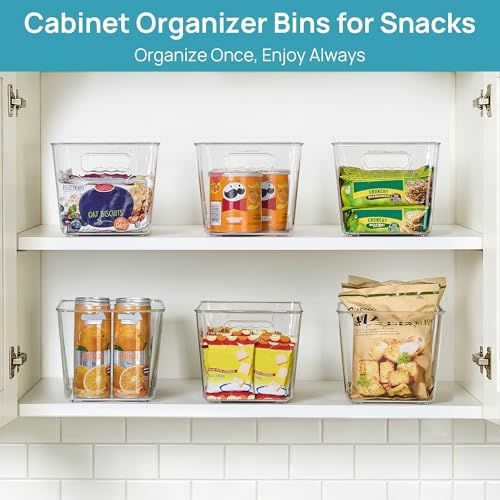 6 Pack Clear Storage Bins (6 Count)