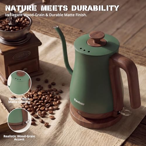 Gooseneck Electric Kettle