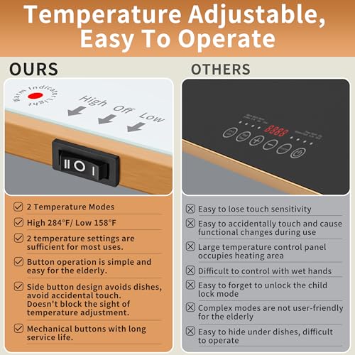 Electric Warming Tray