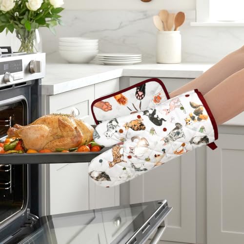 Cute Cat Oven Mitts and Pot Holders Set (2 Count)