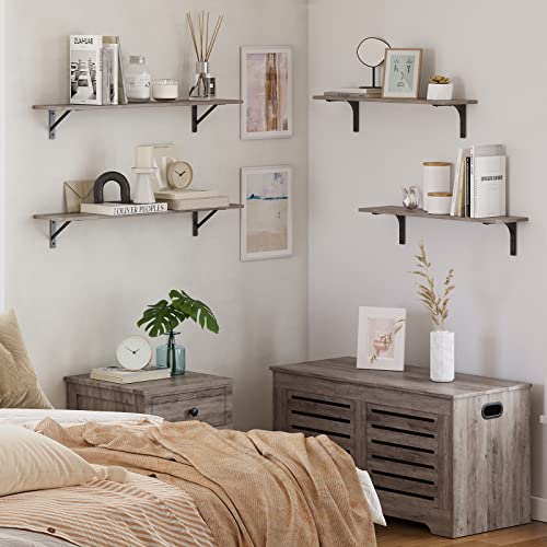 Long Wall Shelves (2 Count)