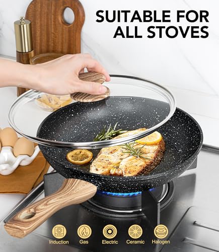 10 Inch Frying Pan with Lid