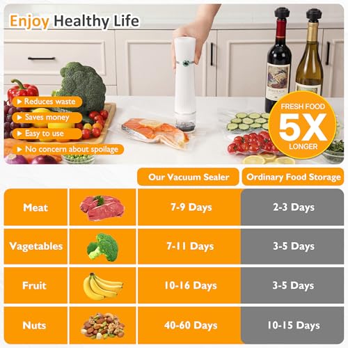 Handheld Vacuum Sealer for Food