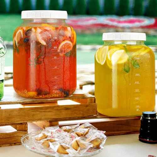 2 Pack Wide Mouth 1 Gallon Clear Glass Jar with Lid (2 Count)