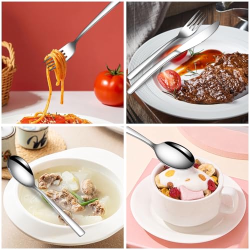 20 Piece Silverware Set for 4 with Steak Knives (20 Count)