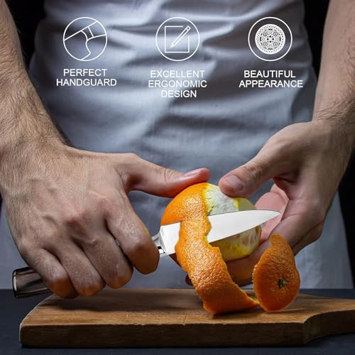 Paring Knife 3.5 Inch