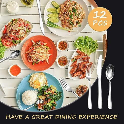 Stainless Steel 12PCS Dinner Set combo with 4 Dinner Knives (12 Count)