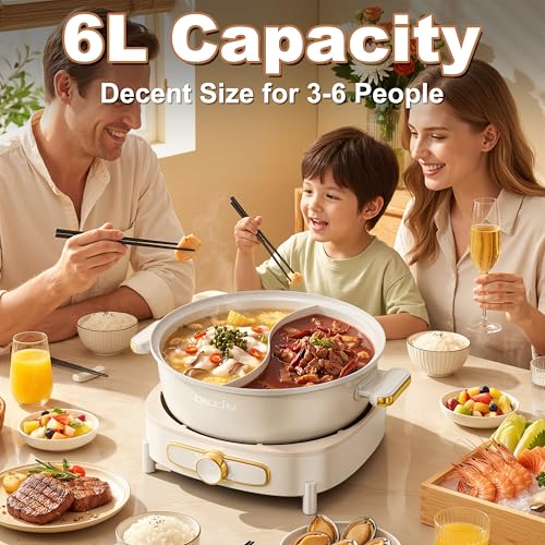 6L Hot Pot Electric with Divider