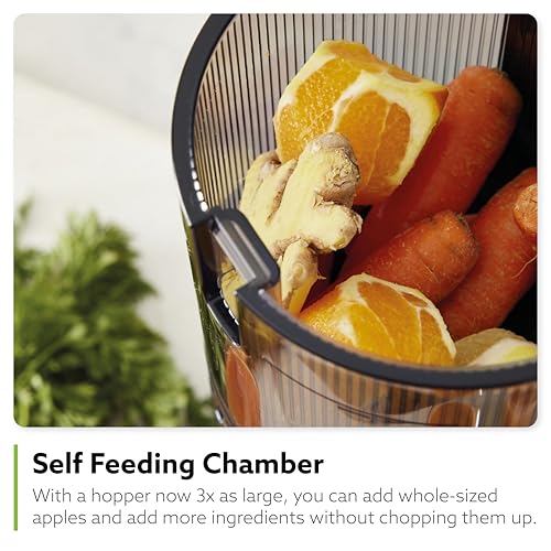 H320N Cold Press Juicer Machine