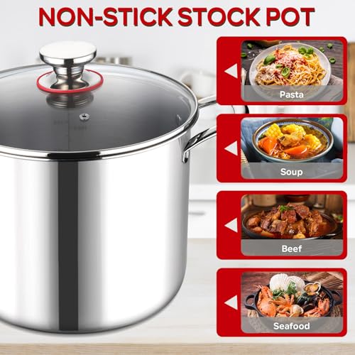12 QT Stock Pot with Lid