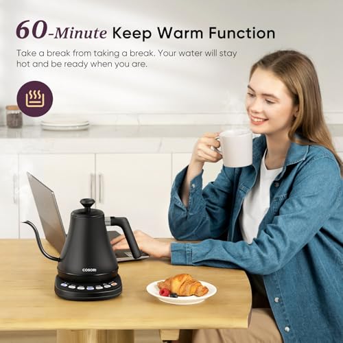 Gooseneck Electric Kettle with Temperature Control