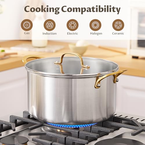 8 QT Stock Pot with Lid