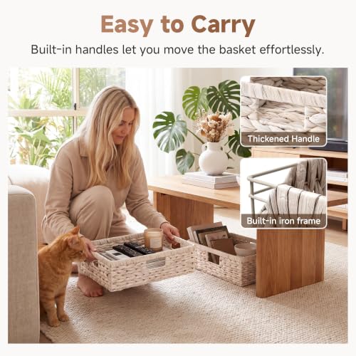 Large Wicker Storage Baskets for Shelves