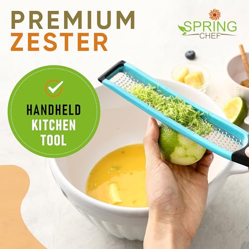 Stainless Steel Lemon Zester