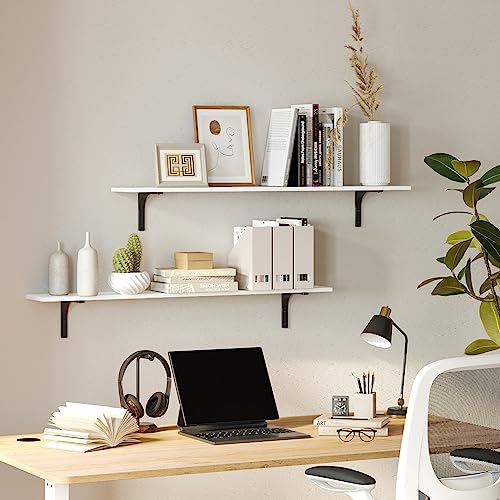 Long Wall Shelves (2 Count)