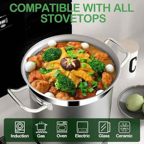 Stock Pot 20 Quart with Lid