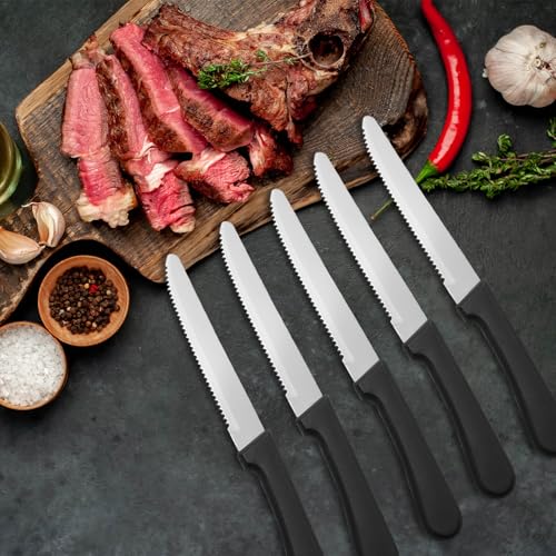 36 PCS Steak Knife Set (36 Count)