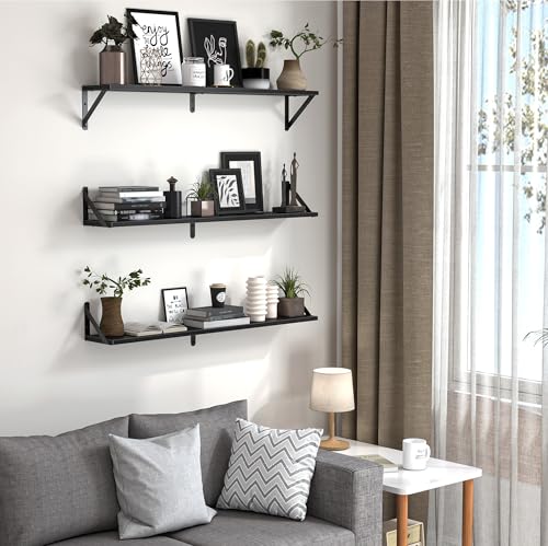 Floating Shelves for Wall