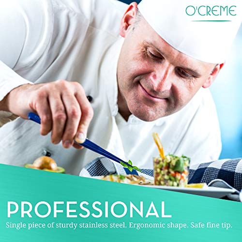 Stainless Steel Culinary Tweezer Tongs