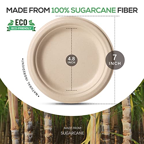 100% Compostable Plates 9 Inch 150 Pack Disposable Plates Heavy (150 Count)
