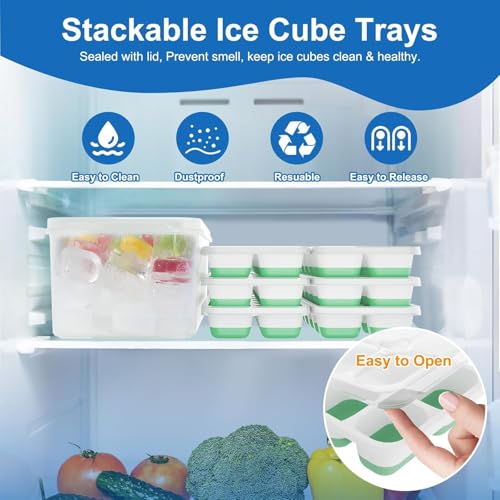 Ice Cube Tray (6 Count)