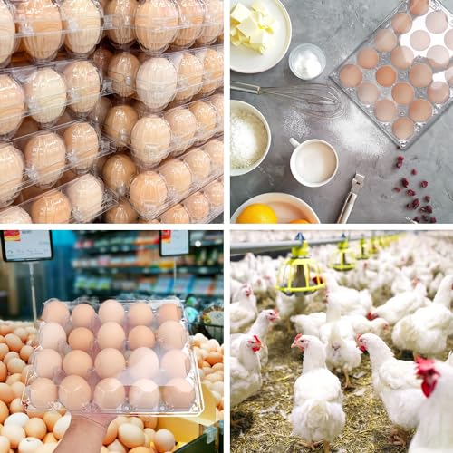 50 Pack Bulk Egg Cartons (50 Count)