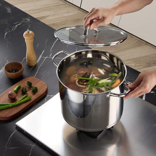 14 QT Stainless Steel Large Stock Pot