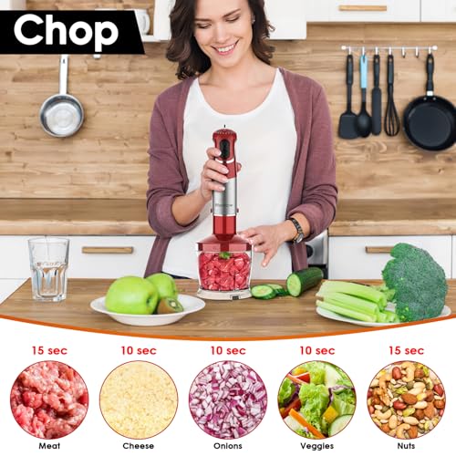Immersion Blender Handheld