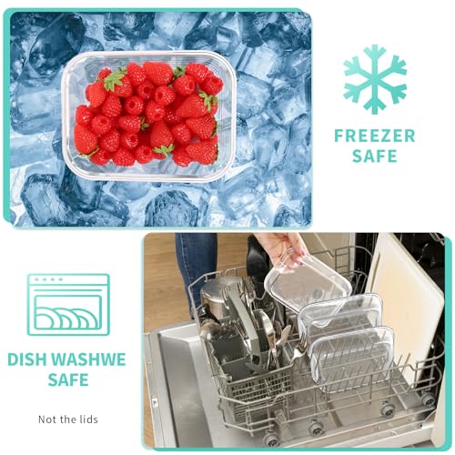 10 Pack Large Glass Meal Prep Containers