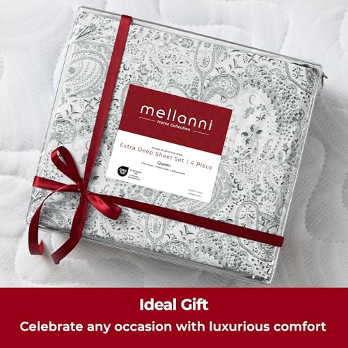 Iconic 4 Piece