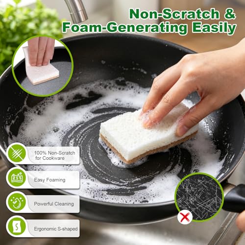 Kitchen Dish Sponges (24 Count)